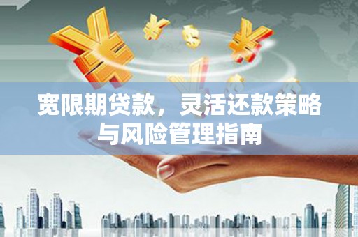 桑日宽限期贷款，灵活还款策略与风险管理指南