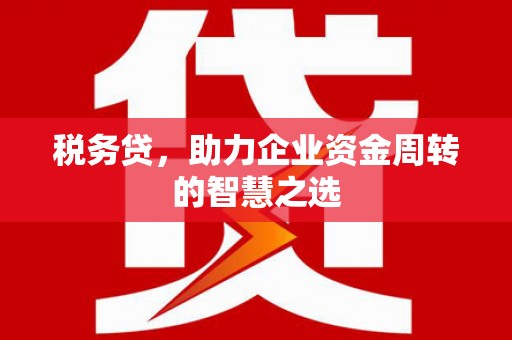 汕尾税务贷，助力企业资金周转的智慧之选