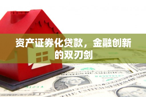 丰顺资产证券化贷款，金融创新的双刃剑