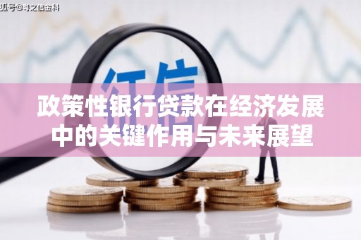 八德政策性银行贷款在经济发展中的关键作用与未来展望