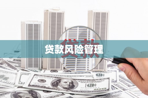 嵊州贷款风险管理