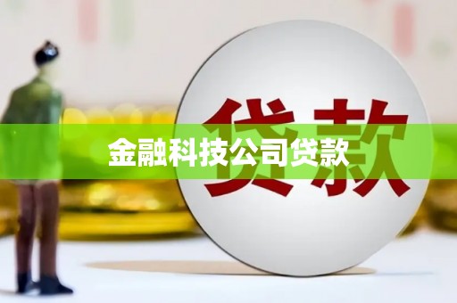 罗山金融科技公司贷款
