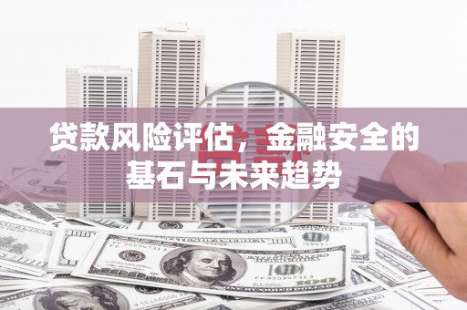 荔湾贷款风险评估，金融安全的基石与未来趋势