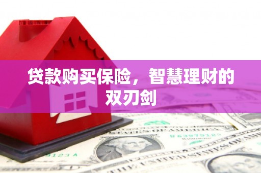 八宿贷款购买保险，智慧理财的双刃剑