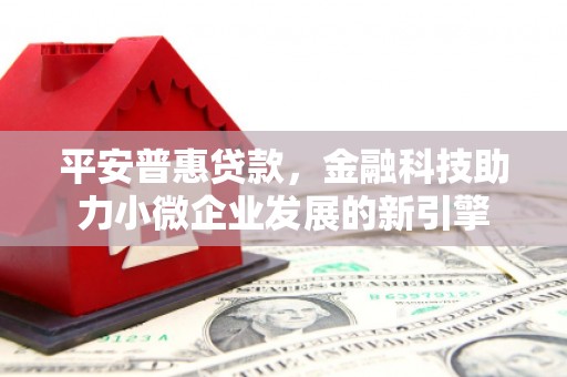 西夏平安普惠贷款，金融科技助力小微企业发展的新引擎