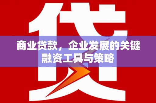 嘉禾商业贷款，企业发展的关键融资工具与策略