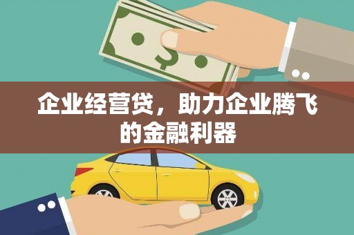 台西企业经营贷，助力企业腾飞的金融利器