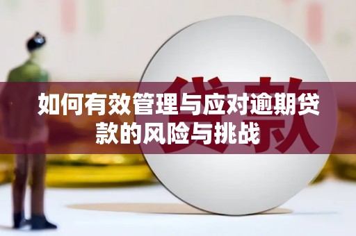 凤县如何有效管理与应对逾期贷款的风险与挑战