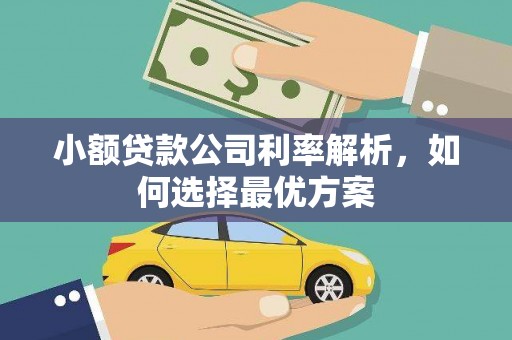 固始小额贷款公司利率解析，如何选择最优方案