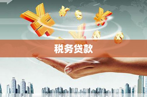 宁武税务贷款