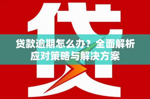 公安贷款逾期怎么办？全面解析应对策略与解决方案