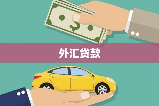珲春外汇贷款