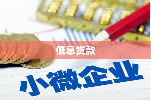 丰城低息贷款