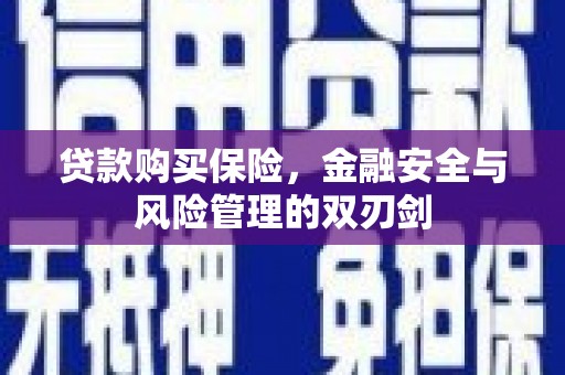 横县贷款购买保险，金融安全与风险管理的双刃剑