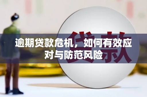 丰满逾期贷款危机，如何有效应对与防范风险