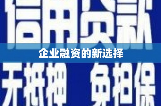 寻甸企业融资的新选择