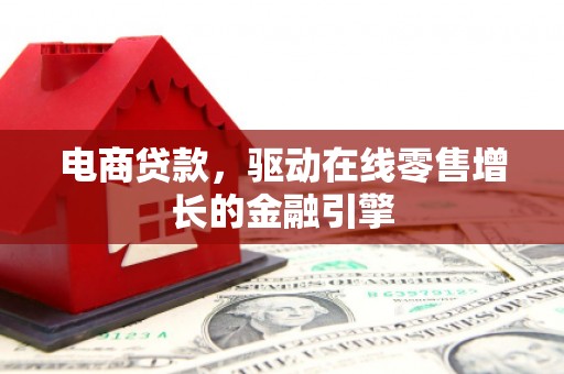 港南电商贷款，驱动在线零售增长的金融引擎