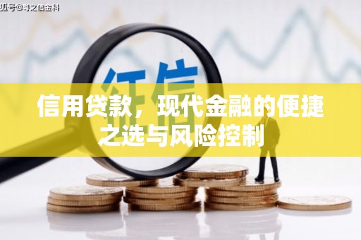 邵东信用贷款，现代金融的便捷之选与风险控制