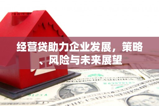 安仁经营贷助力企业发展，策略、风险与未来展望