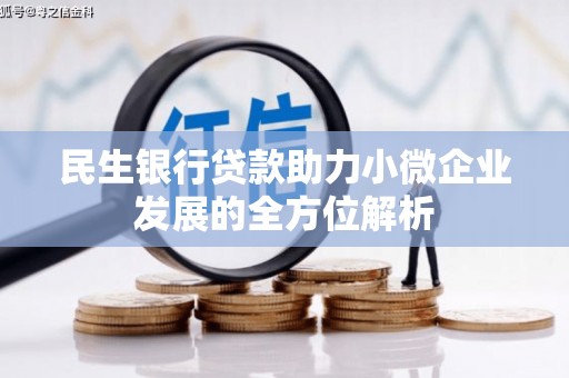 芦山民生银行贷款助力小微企业发展的全方位解析