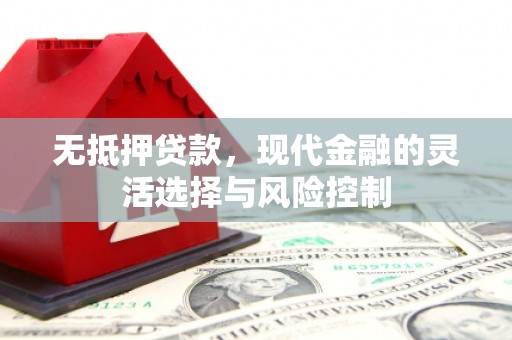 迭部无抵押贷款，现代金融的灵活选择与风险控制