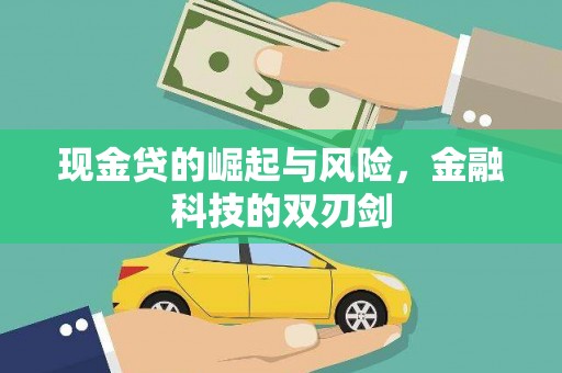 固阳现金贷的崛起与风险，金融科技的双刃剑