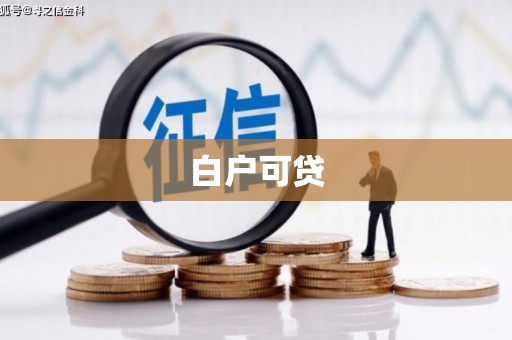 天元白户可贷