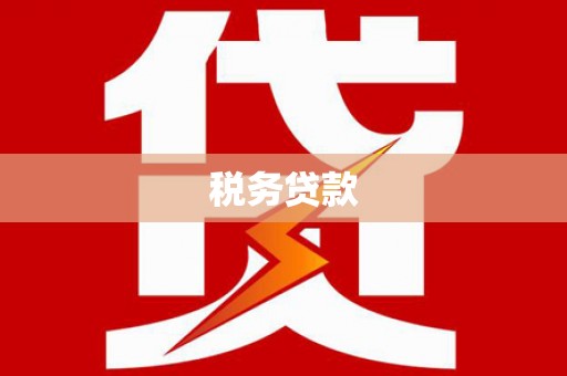 大林税务贷款