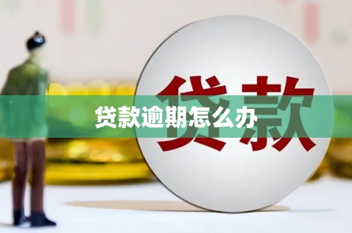 西峡贷款逾期怎么办