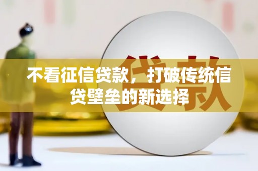 项城不看征信贷款，打破传统信贷壁垒的新选择