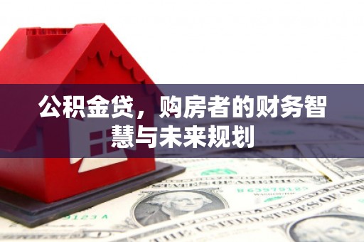 盐津公积金贷，购房者的财务智慧与未来规划