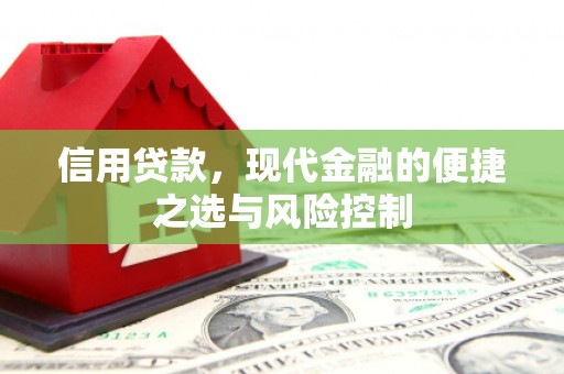 漳州信用贷款，现代金融的便捷之选与风险控制