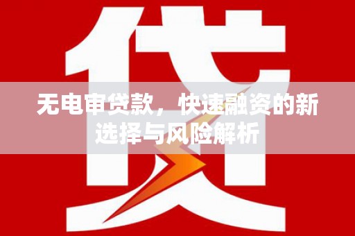 武清无电审贷款，快速融资的新选择与风险解析