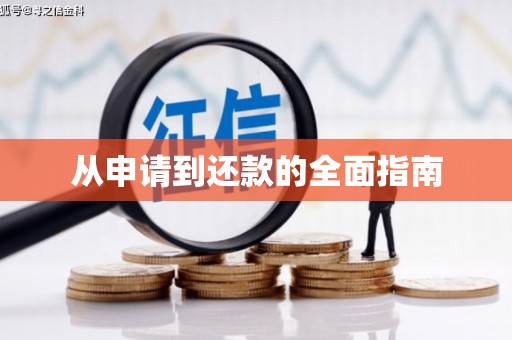 阳谷从申请到还款的全面指南
