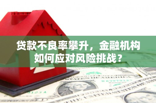 和县贷款不良率攀升，金融机构如何应对风险挑战？
