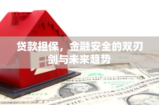 枋山贷款担保，金融安全的双刃剑与未来趋势
