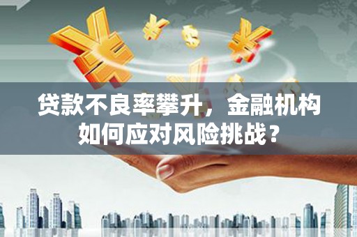 海原贷款不良率攀升，金融机构如何应对风险挑战？