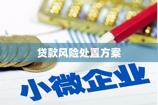 武胜贷款风险处置方案