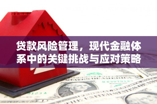 唐县贷款风险管理，现代金融体系中的关键挑战与应对策略