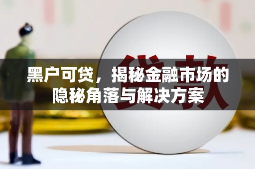 临渭黑户可贷，揭秘金融市场的隐秘角落与解决方案