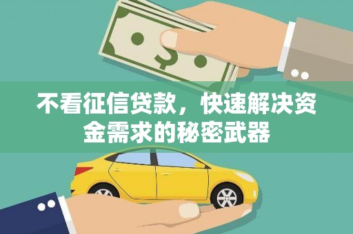 安仁不看征信贷款，快速解决资金需求的秘密武器