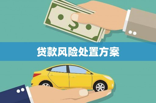 卓尼贷款风险处置方案