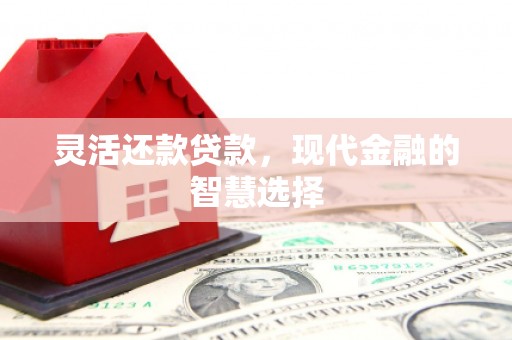 六枝灵活还款贷款，现代金融的智慧选择