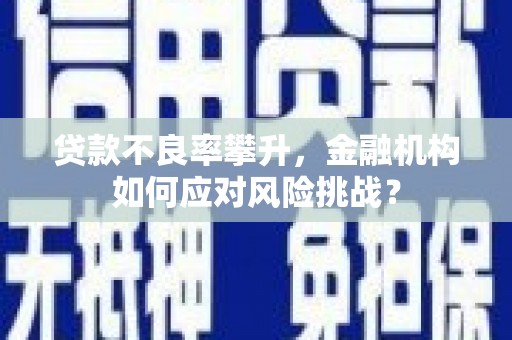 通山贷款不良率攀升，金融机构如何应对风险挑战？