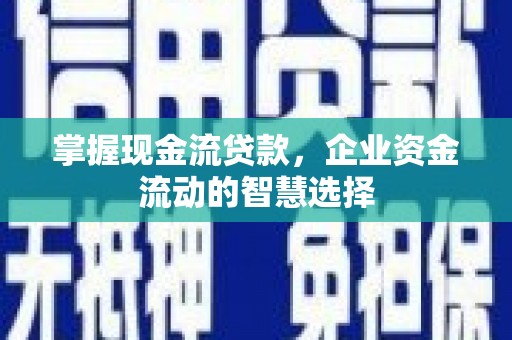 鹿城掌握现金流贷款，企业资金流动的智慧选择