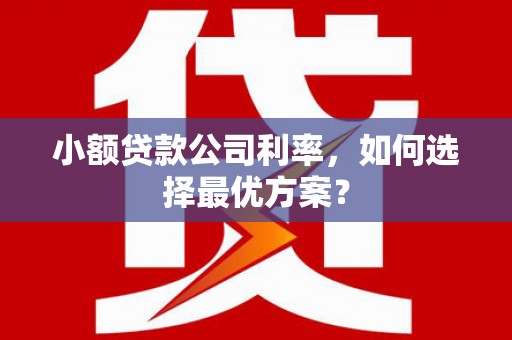 正蓝旗小额贷款公司利率，如何选择最优方案？