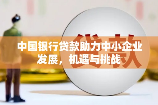 武鸣中国银行贷款助力中小企业发展，机遇与挑战