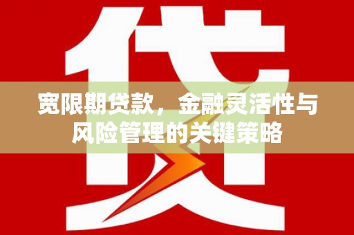 河西宽限期贷款，金融灵活性与风险管理的关键策略