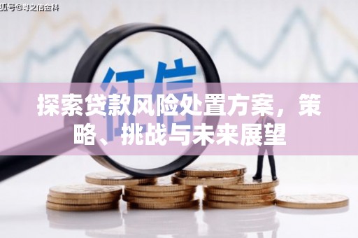 溪口探索贷款风险处置方案，策略、挑战与未来展望