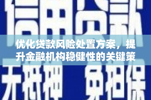 蕲春优化贷款风险处置方案，提升金融机构稳健性的关键策略